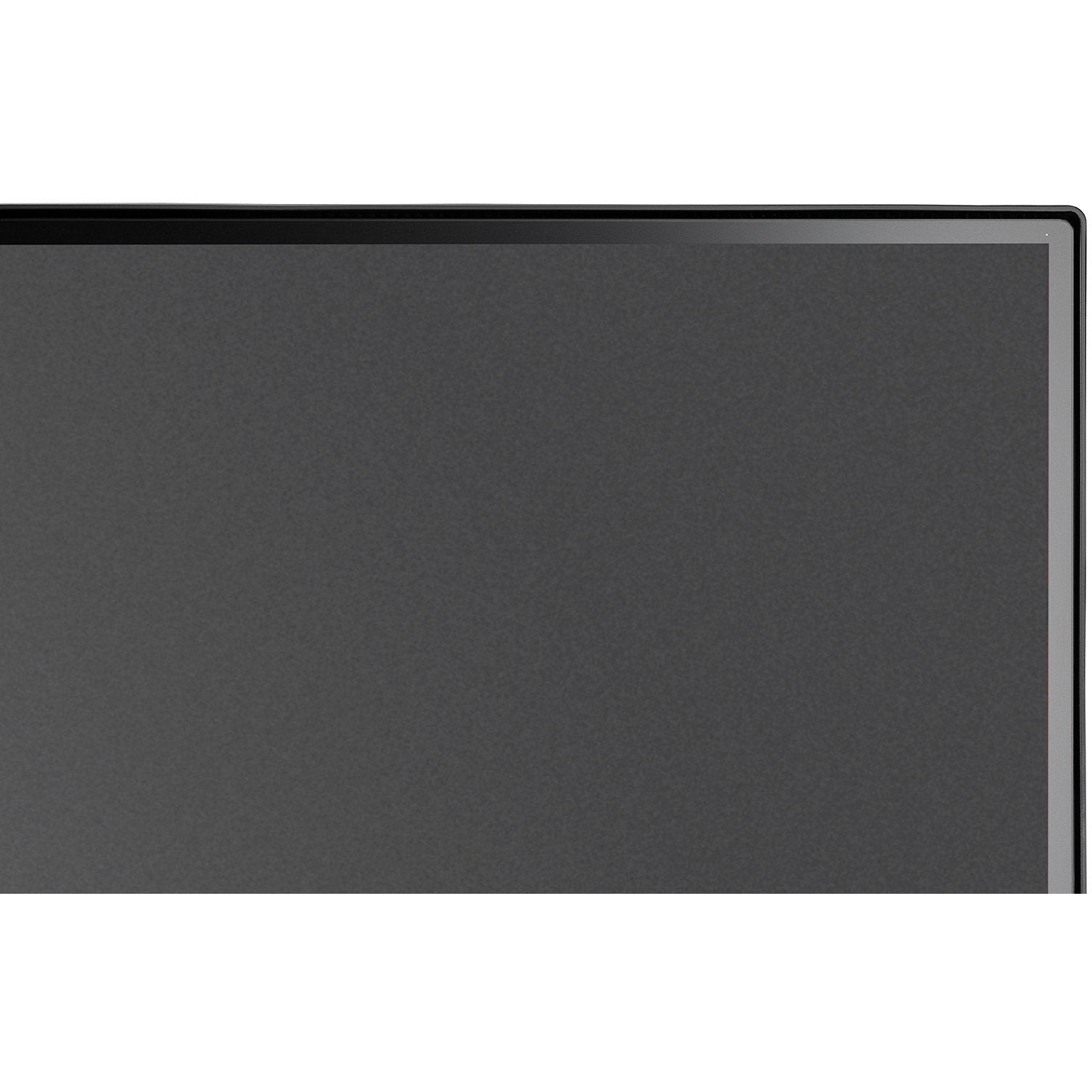 NEC MultiSync® E242N LCD 24" Enterprise Display