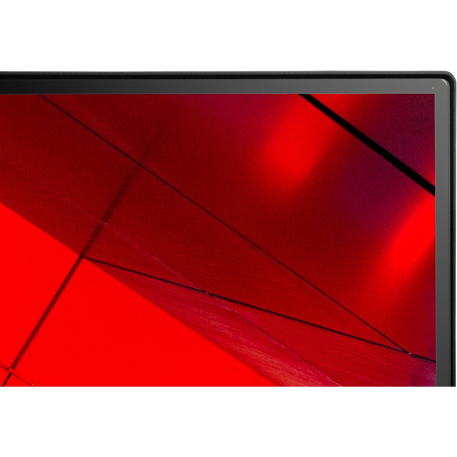 NEC MultiSync® E243F LCD 24" Enterprise Display